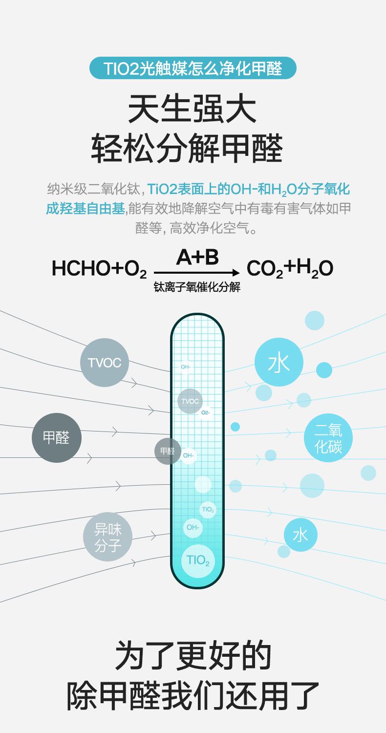 天生强大轻松分解甲醛